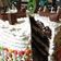 Cooksnap dari Wita Grathia untuk resep Blackforest Mocaf Cake #ChocolateWeeks