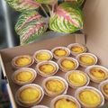 Cooksnap dari Dewi Nevada untuk resep Pie Susu Bali