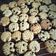 Cooksnap dari Fatiqa untuk resep Cookies Choco Chip
