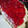 El cooksnap de Ludmila Pereyra cuando hizo Tarta de frutilla con crema y gelatina.