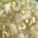 Cooksnap dari S.G.Hidayat untuk resep Sayur Orak Arik Kol