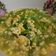 Cooksnap dari Fatri Cia untuk resep Buncis Cah Telor