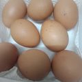 Cooksnap Dunia Hanya Sementara Fy semasa beliau membuat Tips : Cara simpan telur.