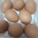 Cooksnap Dunia Hanya Sementara Fy semasa beliau membuat Tips : Cara simpan telur.