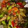 Cooksnap dari Cheepty HinatHa untuk resep Tongkol terong cabe ijo dan pete