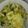 Cooksnap dari N Iswara untuk resep Sayur kol