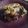 El cooksnap de MultiFandom4evaXD cuando hizo Pastafrola.