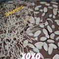 Cooksnap dari Eva Rosdiana untuk resep Brownies Coklat Kenari