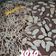 Cooksnap dari Eva Rosdiana untuk resep Brownies Coklat Kenari