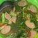 Cooksnap dari Rosa Julianti untuk resep Ca sawi ijo sosis