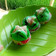 Cooksnap dari Nina Daryanti untuk resep Bolu Kukus Semangka(Tanpa Soda, Anti Gagal, 1 telur)