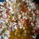 Cooksnap dari Marlyani Tan untuk resep Mun tahu ala chinese food