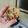 El cooksnap de Maite Garcia cuando hizo Galletas de avena y coco.