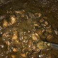 Cooksnap dari Prita untuk resep Cumi Tinta Hitam Khas Jawa Timur