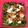 Cooksnap dari Amykp untuk resep Salad Topping Tahu & Kimchi