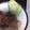 El cooksnap de Inma Gv cuando hizo Cinta de lomo fresca con aguacate y langostinos.