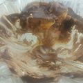 Cooksnap από Κουζινογατος στη συνταγή Μους σοκολάτα γεμιστή με σου
