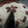 Lily Maldonado Paz's cooksnap of when they made Pastel de zanahoria con queso crema.