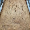 Sheila Pollex's cooksnap of when they made Applesauce cake.