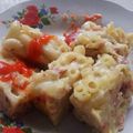 Cooksnap dari Dapoer aeni untuk resep Macaroni Schotel Kukus