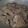 Cooksnap dari Niesa Gholib Triyono untuk resep Gepuk Daging sapi