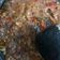 Cooksnap dari Kia Arthemist untuk resep Sambel Ala Pecel Lele Lamongan Simpel Mantap