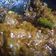 Sejal का कुकस्नैप जब उन्होंने बैंगन का भरता (baingan ka bharta recipe in Hindi) बनाया था।