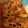 Josiah Partin's cooksnap of when they made Lasagna.