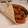 El cooksnap de Miriam cuando hizo Tacos.