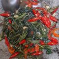 Cooksnap dari Nofrita Menawanti untuk resep Tumis kangkung saus tiram