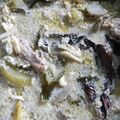 Cooksnap dari Kaulina Silvitiani untuk resep Garang Asem