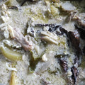 Cooksnap dari Kaulina Silvitiani untuk resep Garang Asem