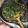 El cooksnap de Marcela Paredes cuando hizo Pasta en 15 minutos.