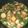 Cooksnap dari Fitri Dwi Handayani untuk resep Sayur asem sunda segerrr