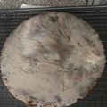 El cooksnap de isanc763 cuando hizo Bizcocho de queso puertorriqueño.