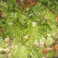 El cooksnap de Solsire Mansilla cuando hizo Ensalada de pollo reciclado.