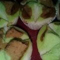 Cooksnap dari Nurhabibah Damanik untuk resep Bolu Kukus Mekar No Soda