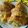 Cooksnap dari Rahma untuk resep Telur dadar gulung tamagoyaki