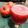 Zobia Sajjad's cooksnap of when they made Anar juice.