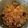 El cooksnap de Begoña A cuando hizo Cordero confitado en salsa de especieas exóticas y habas.