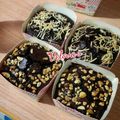 Cooksnap dari Vera Elisabeth Chow untuk resep Chewy Brownies