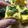 MadAboutCooking's cooksnap of when they made Besan dhokla.