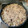 El cooksnap de JoseyPatri cuando hizo Risotto Funghi (setas).