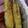 Brenda M. Castillo 's cooksnap of when they made Grilled corn on the cob.