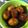 Cooksnap dari dr Ani W Nurtjahja MKK MARS MPH untuk resep Telur Bacem