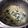 El cooksnap de Estudio MRO cuando hizo Risotto de espinaca y mozarela (mi receta 400).
