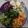 Cooksnap dari Bunda Arfa untuk resep Salad sayur