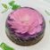 Cooksnap dari RGB WADAW untuk resep Puding Art Flower