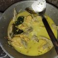 Cooksnap dari Liana Saputri untuk resep Opor ayam mudah dan enak