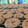 Chelsea 's cooksnap of when they made Oreo Sugar Cookies.